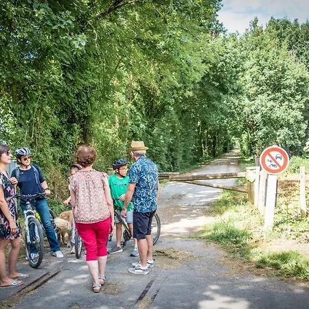 Martin Pecheur Au Coeur De La Nature Moncoutant