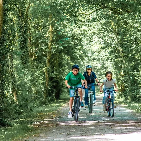 Martin Pecheur Au Coeur De La Nature * Moncoutant