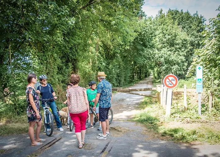 Martin Pecheur Au Coeur De La Nature Moncoutant
