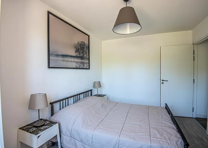 Martin Pecheur Au Coeur De La Nature