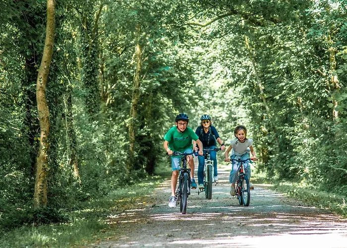 Martin Pecheur Au Coeur De La Nature * Moncoutant