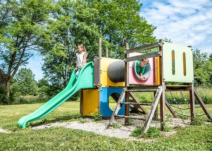 Martin Pecheur Au Coeur De La Nature