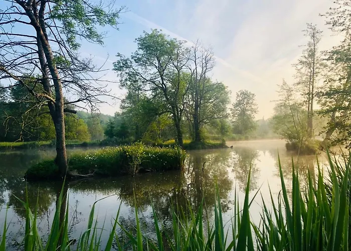 Martin Pecheur Au Coeur De La Nature * Moncoutant