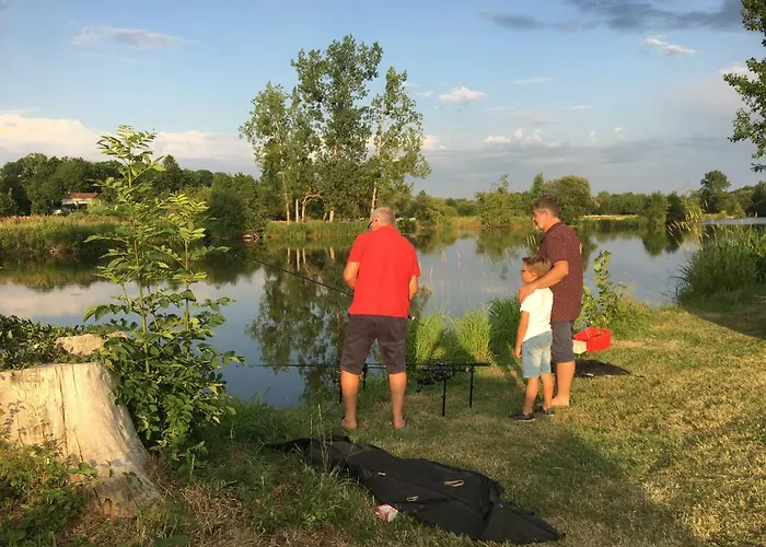 Martin Pecheur Au Coeur De La Nature